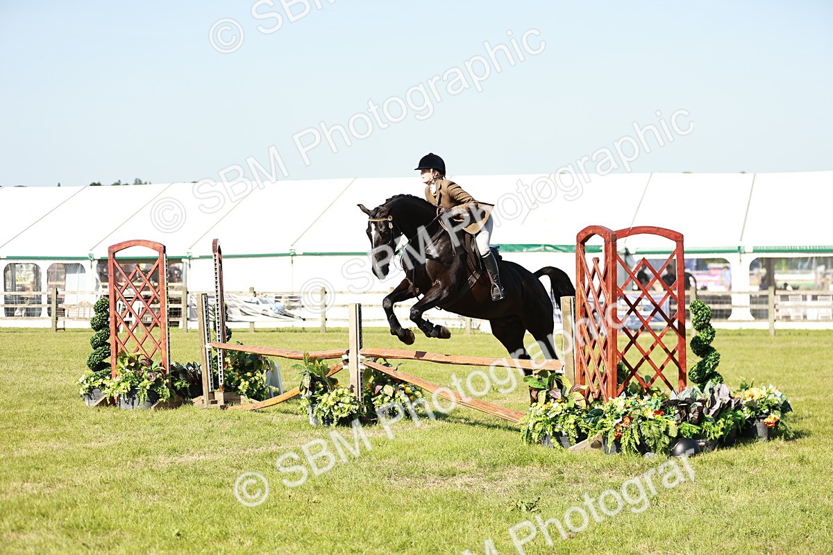 SBM_19158 - Class 115-116 - LIHS BSHA Rising Star Working Hunter & Show Horse