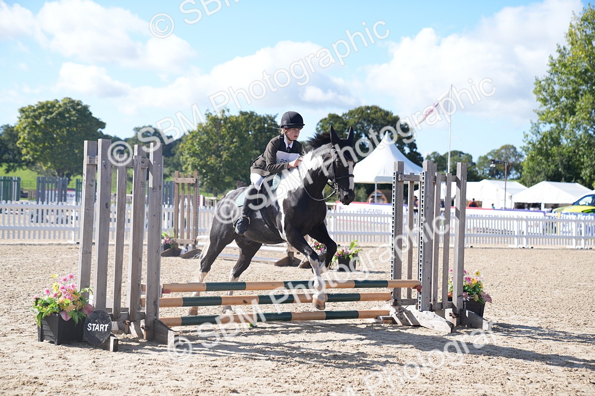 SBM_02414_J54 - Clear Round - 45cm - Chris Haley