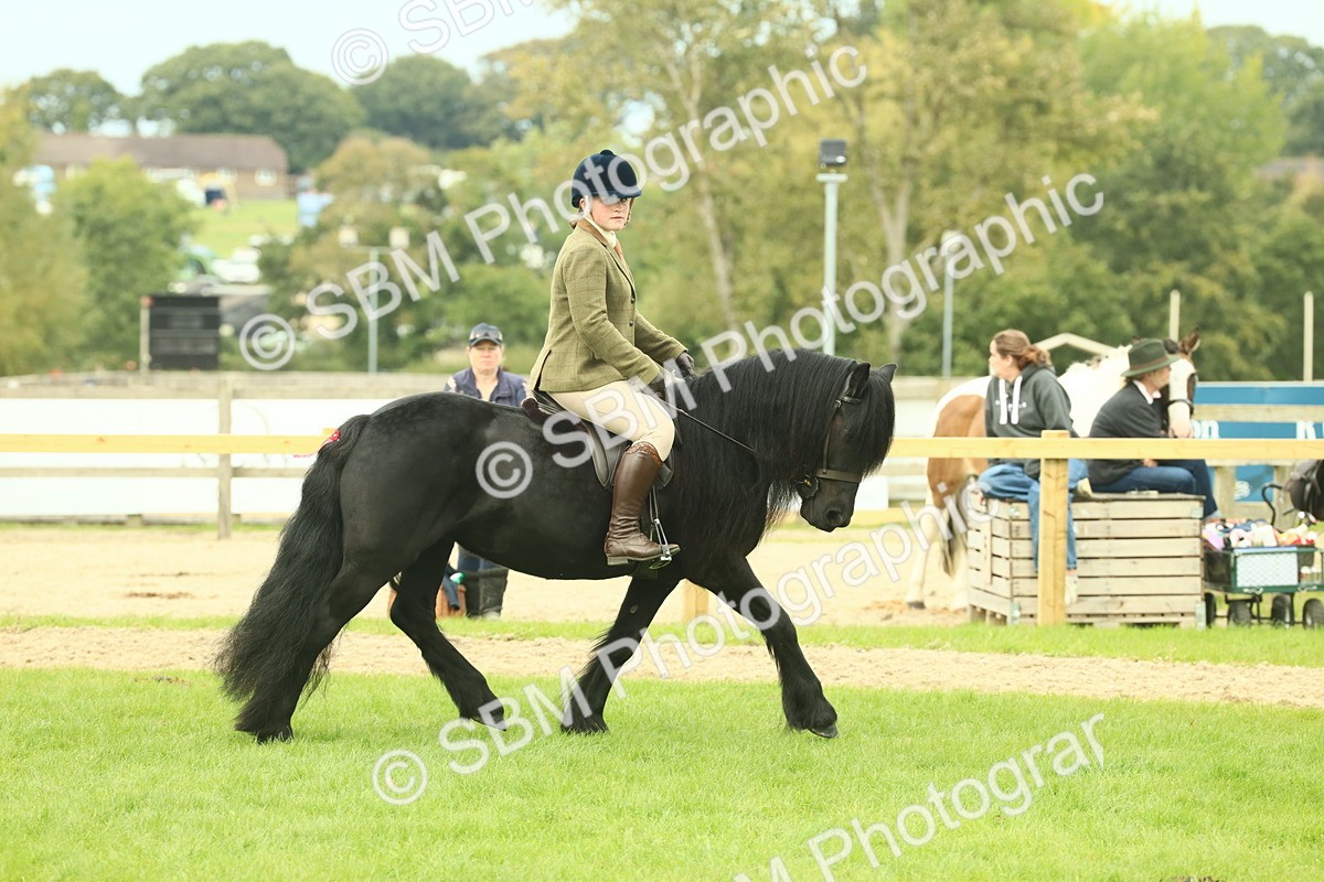 SBM_71921 - S60 - Mountain & Moorland Ridden Large Breeds