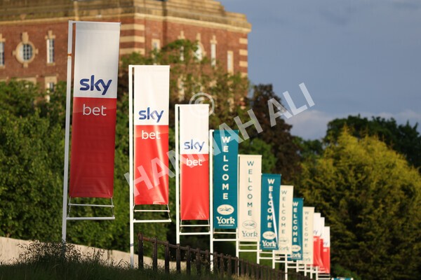 yr22052022r7-3 - Race 7: 6:40pm Sky Bet Sunday Series Fillies' and Mares Stakes