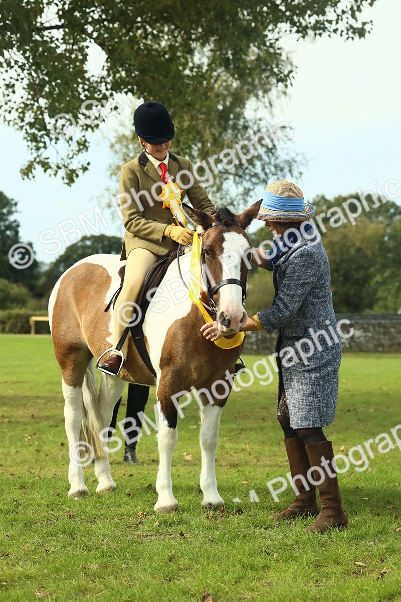 SBM_68134 - S57 - Part Bred Pony Ridden