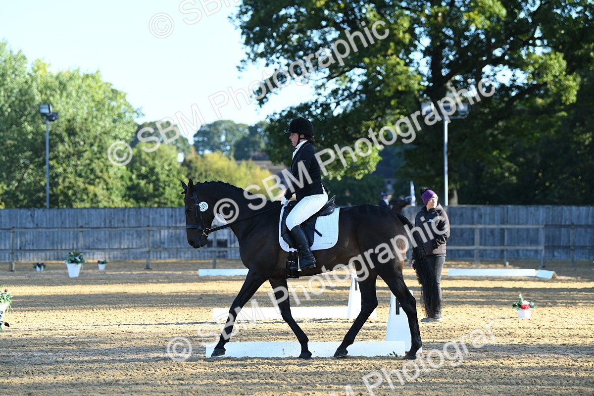 SBM_14415 - D4 - Small Tour Championship - Intro B