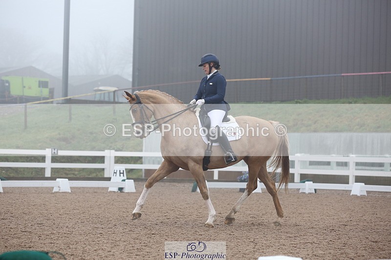 240217A-123313-02907 - 274-Clare.Smith-Dori.Dragon.Fly