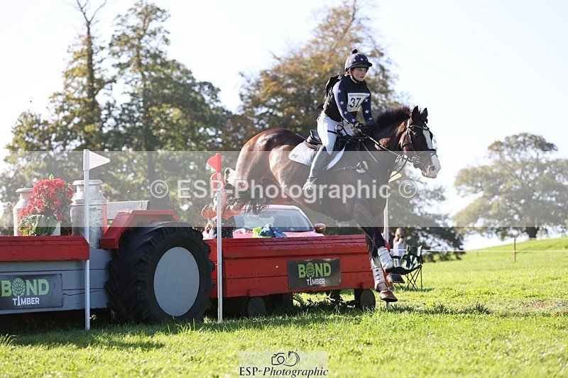 241026-112001-12277 - 374-Bella.Balian-BEECHWOOD.JOEY