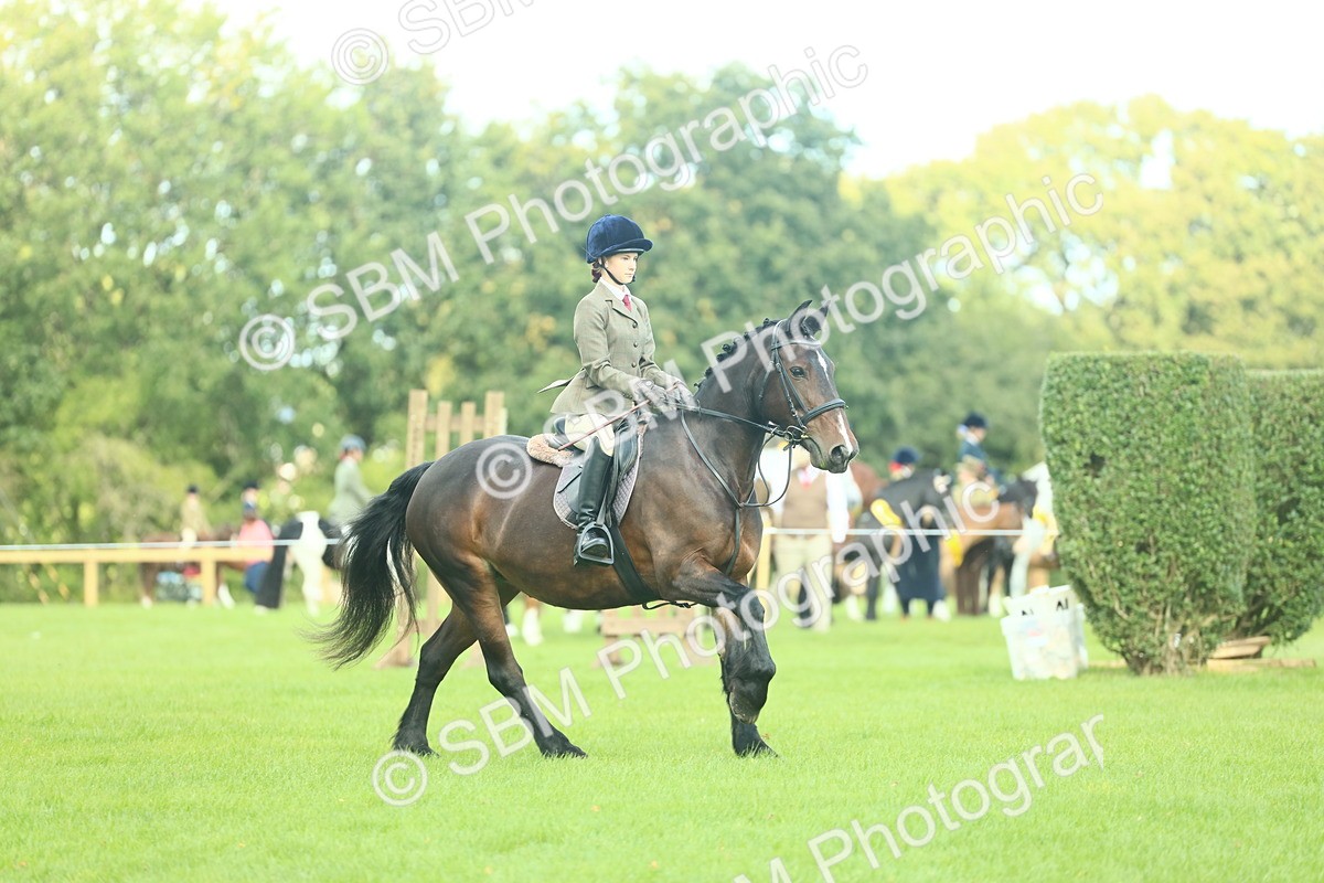 SBM_42034 - S29 - Novice & Newcomers Working Hunter Pony