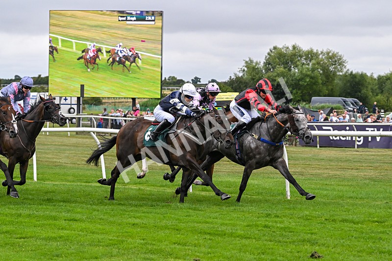 180825-Race 1-Stellarmasterpiece-8160 - Race 1