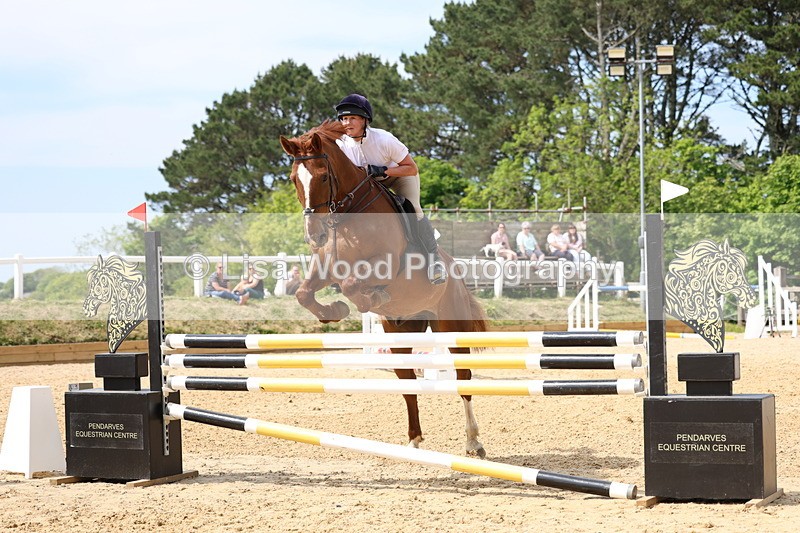 3E7A7185 - Class 7: Senior Newcomers/1.10m open