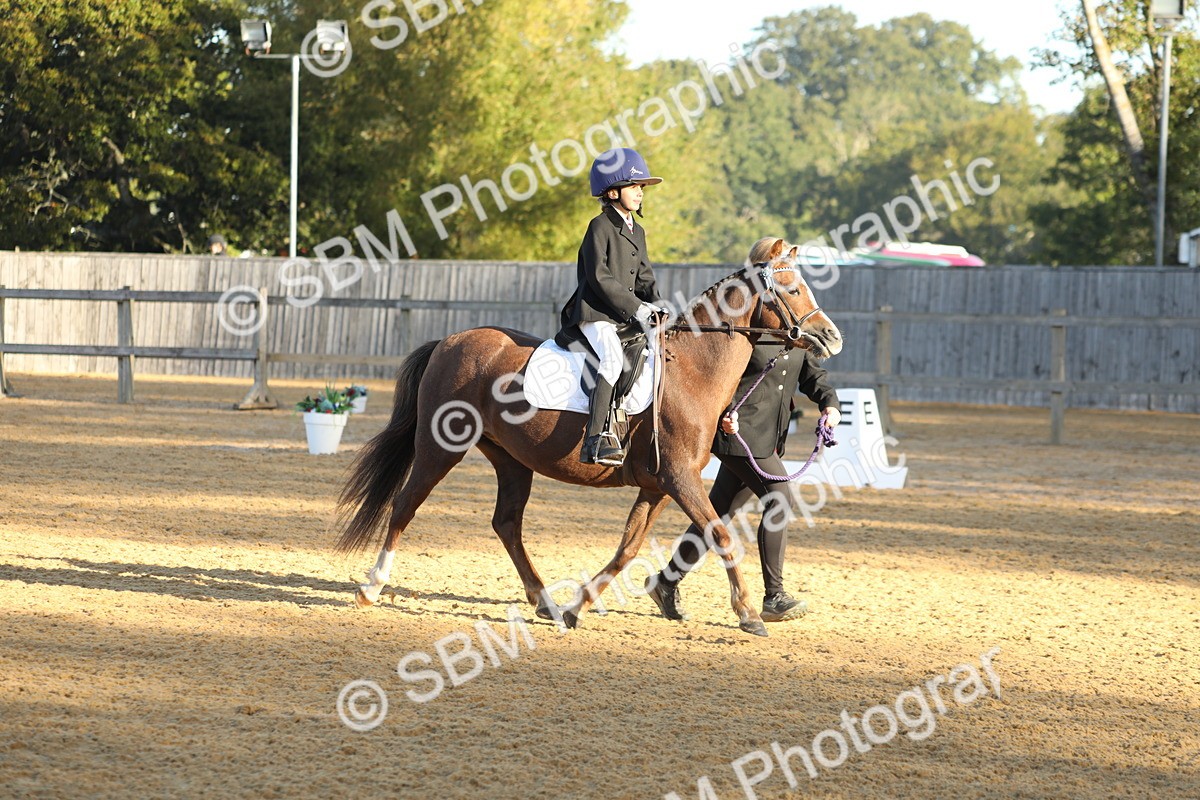 SBM_33638 - D26 - Starers - Lead Rein