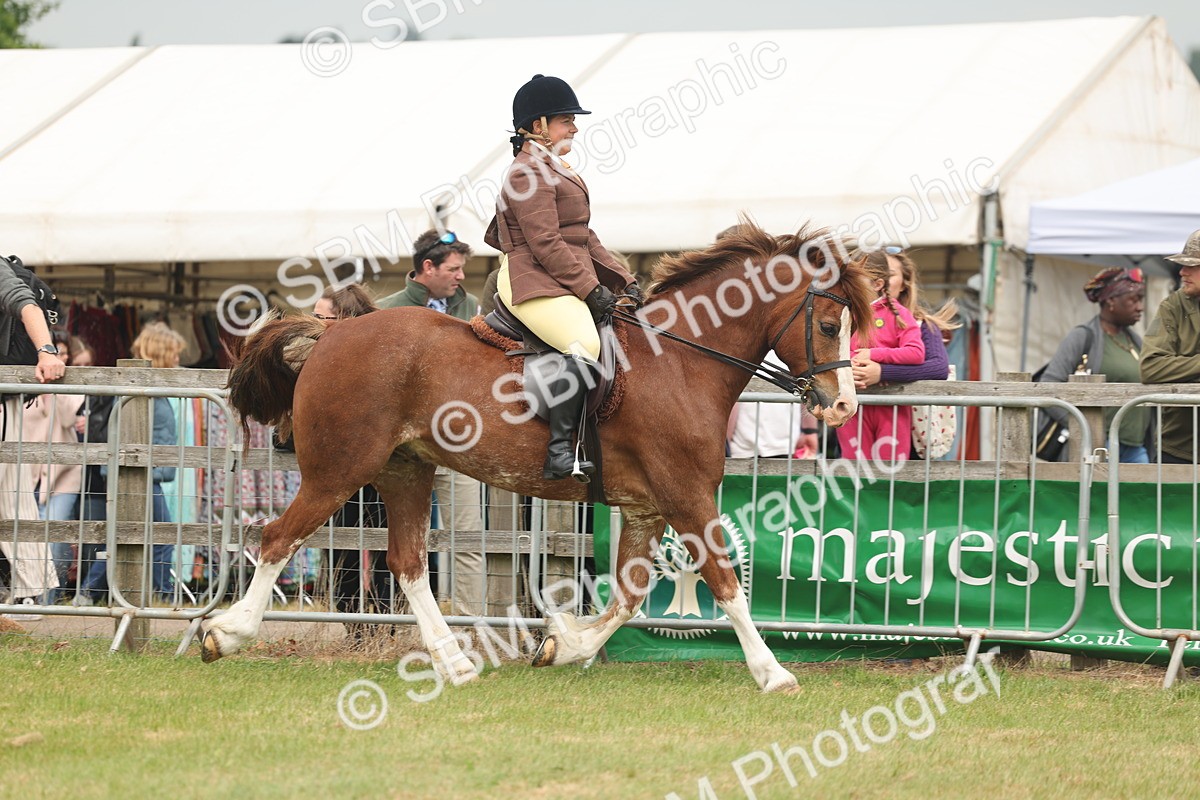 SBM_07159 - Class 76-77 - Ridden M&M Welsh Ponies