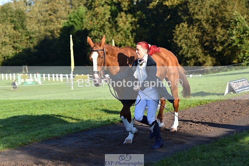 231022-091338-21632 - 613-CAVS.GIRL-Anna.Webster-TrotUp+SJ