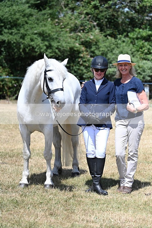 WJ7_2475 - Class 5a Most Handsome Gelding in hand (above 14.2hh)