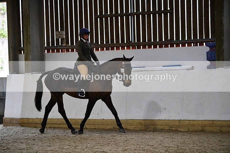 WJ5_7989 - Class 13 Ridden Part Breed
