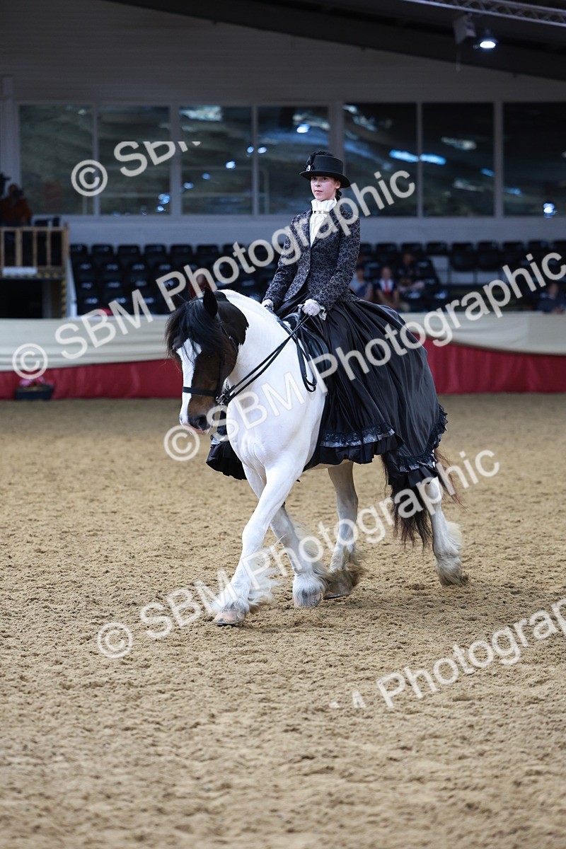 SBM_13778 - Class 106 - Ridden Costume -Astride Adult (15-19)