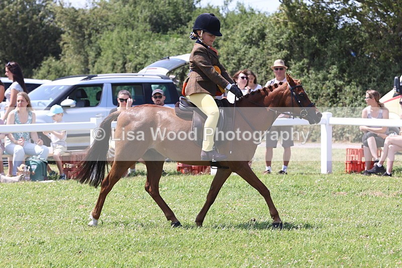 JPP_2398 - Class 20: Tiny Tots Working Hunter Pony