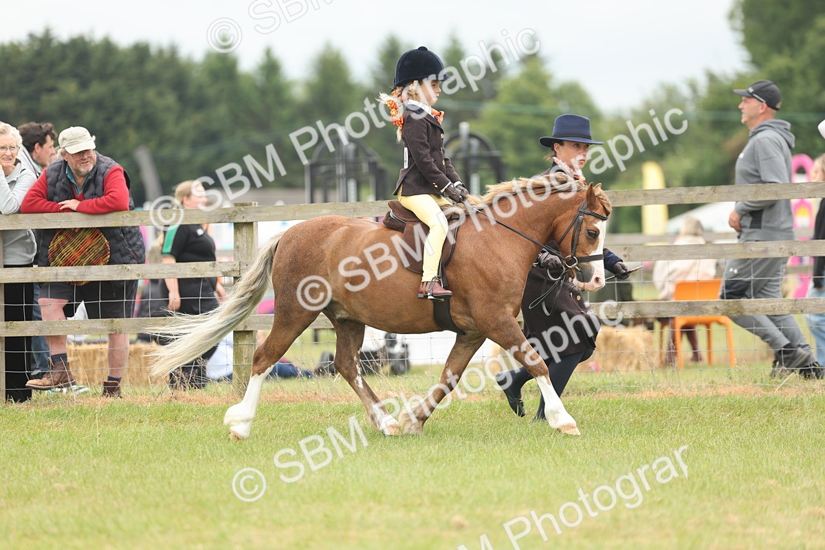 SBM_06719 - Class 74-75 - M&M Lead Rein and First Ridden Pony