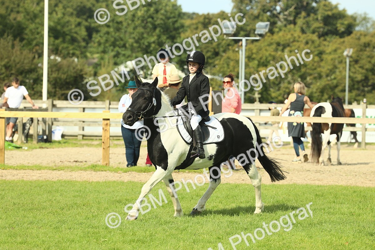 SBM_68854 - S58 - Mini Show Cob Ridden