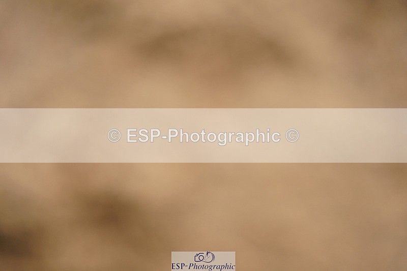 240317A-103028-04866 - Cls 25 Snr 1.20m Open