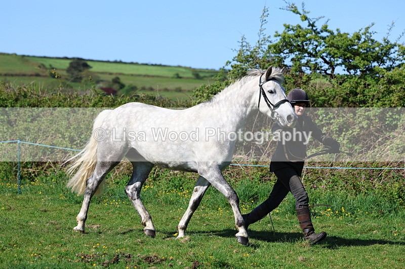 3E7A8543 - Class 13: M & M Large Breeds