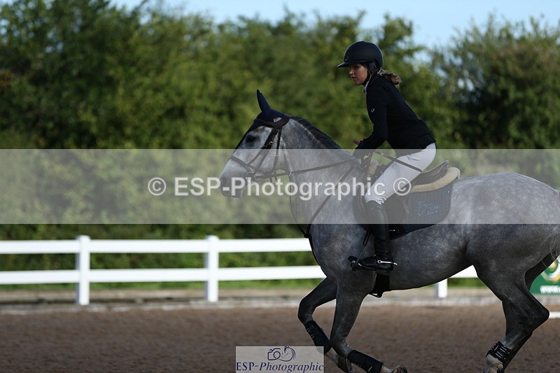 230811A-090319-02770 - Cls 13 A&B Snr Brit Nov & 90cm Open