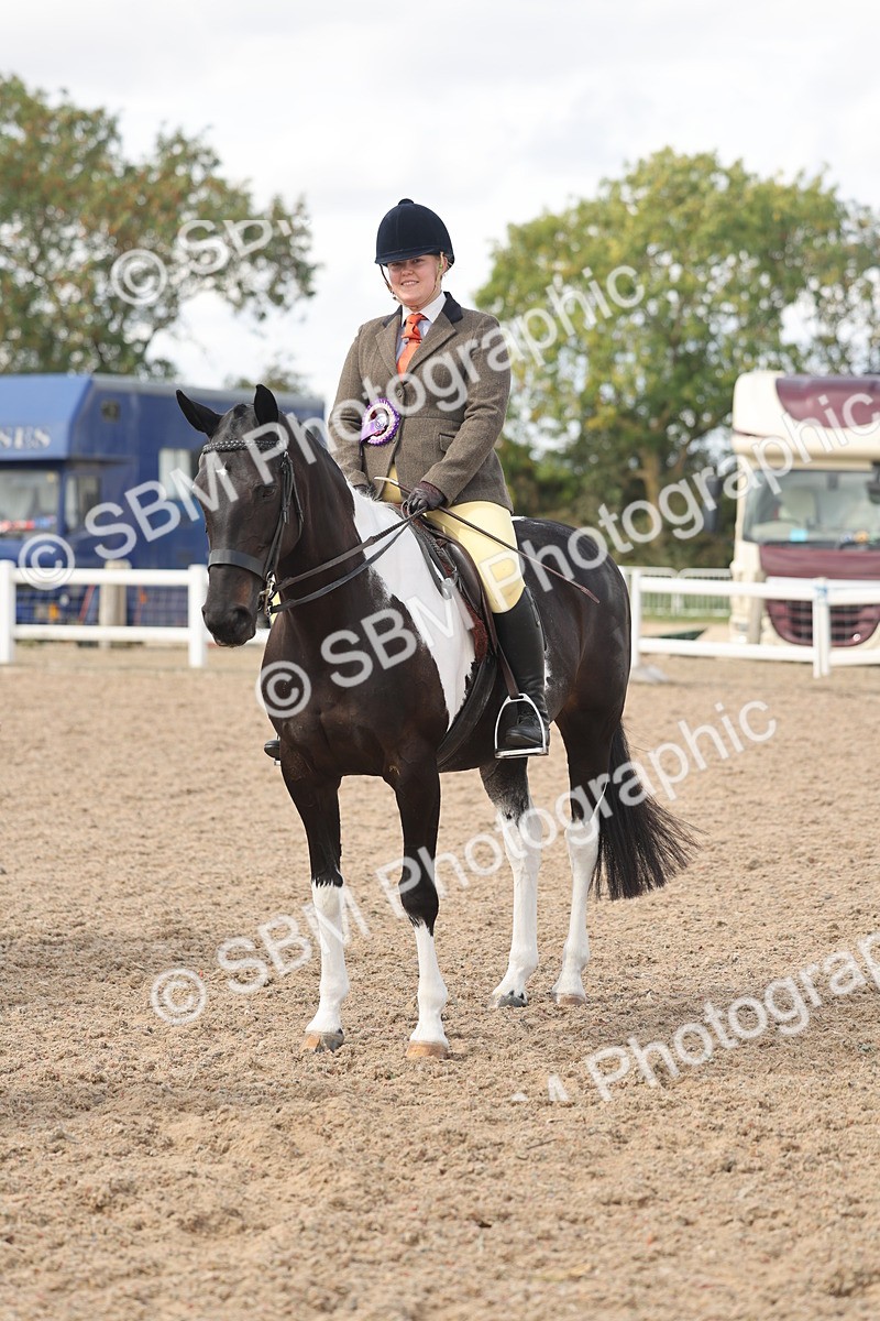 SBM_14862 - Class 308 - Ridden Coloured Horse