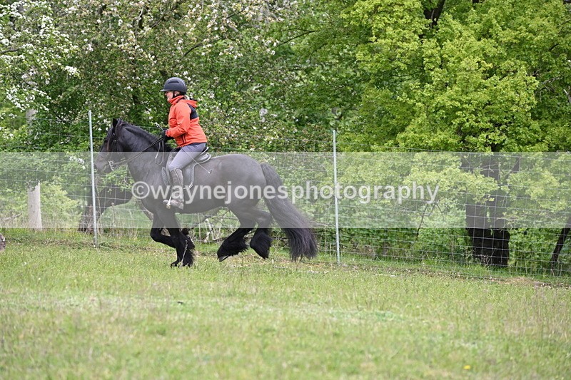 WJ6_1659 - Group 5 A&B Cameras