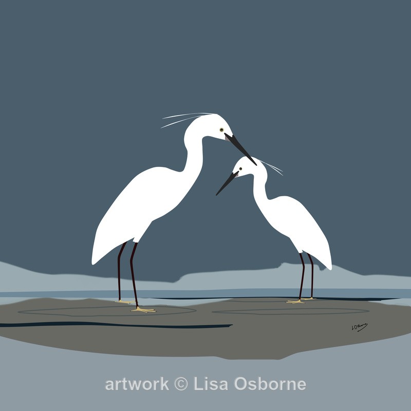 Little egrets - DIGITAL ARTWORK
