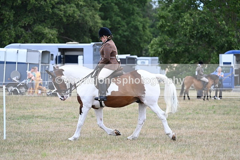 WJ7_4944 - Class 12 Ridden Cob