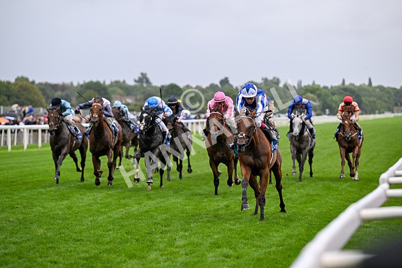 200826-Race 3-The Lost King-3362 - Race 3 15.00pm Sir Kevin Sinfield 7 In 7 Grand Finale Handicap