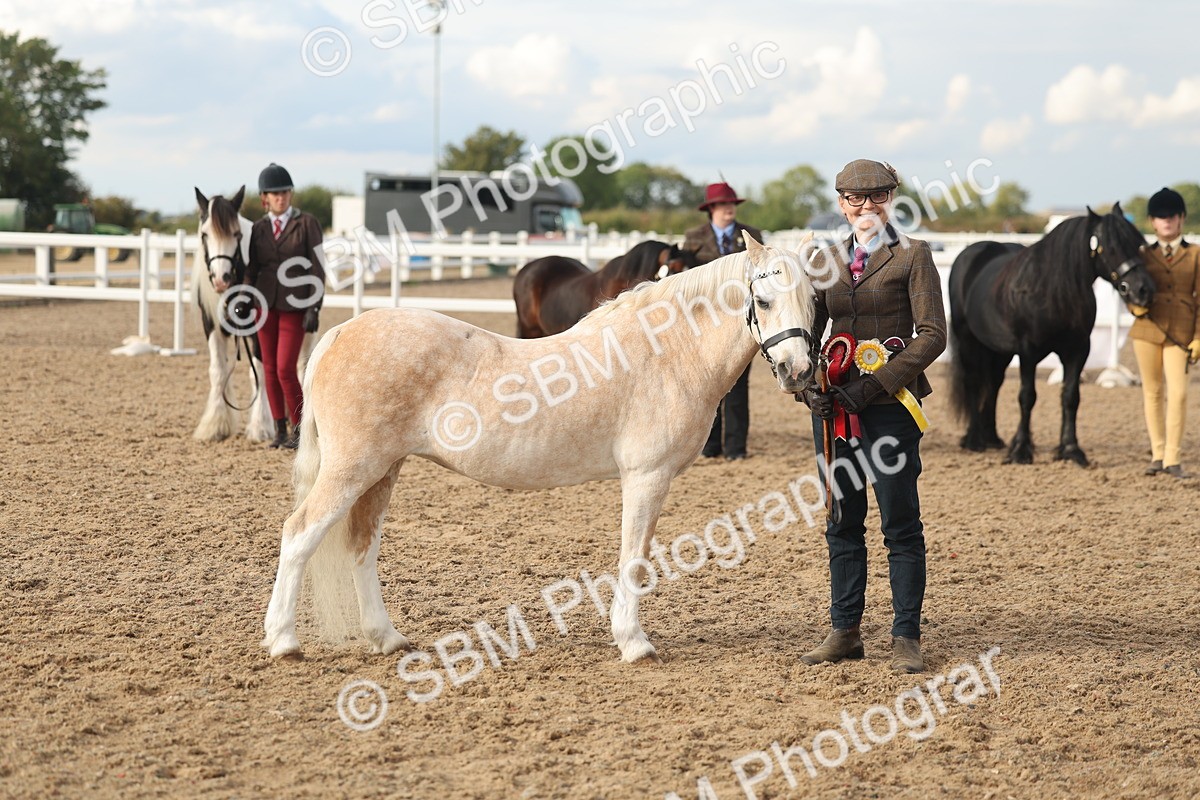 SBM_08580 - Class 29 - IH Veteran Pony
