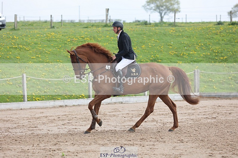 250424-111246-03411 - Cls 33 Young Horse 7yr old