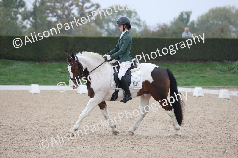 20251012-0581 - Class 5 - Elementary 5