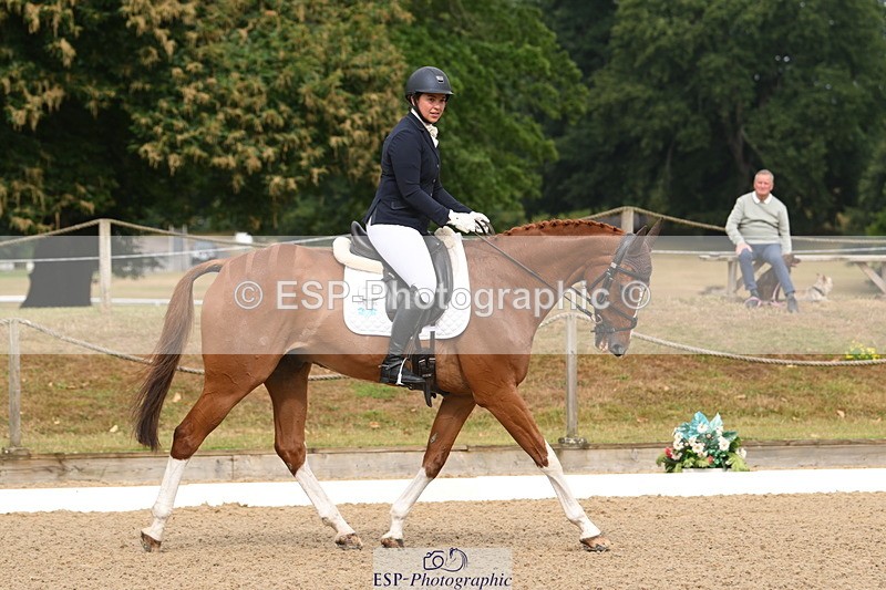 250719A-094629-03068 - 030-Harriet.Dickin-Custer.of.the.West