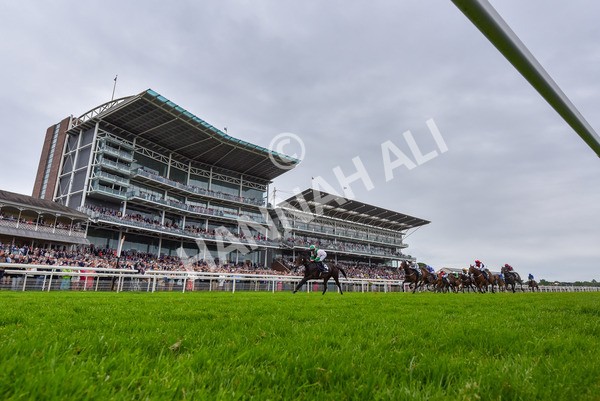 250524-Race 3-Starlust-6835 - Race 3 2.45pm William Hill Extra Place Races Daily Handicap