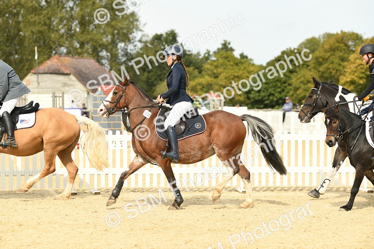 SBM_65321 - J48 - Pairs Jumping Open 70cm & 85cm