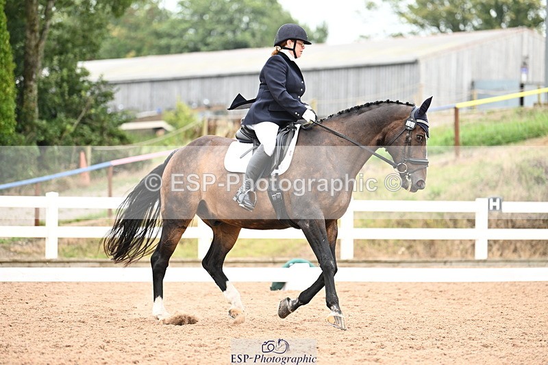 240815A-132823-01529 - 205-Donna.Boyd-Vagebond.vd.Withoeve.Z