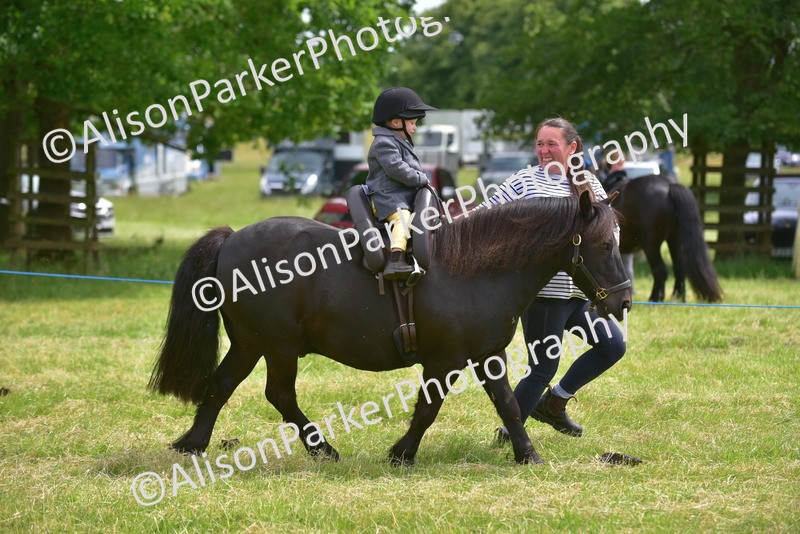 20260614-3980 - Class 16 - Handsome Gelding