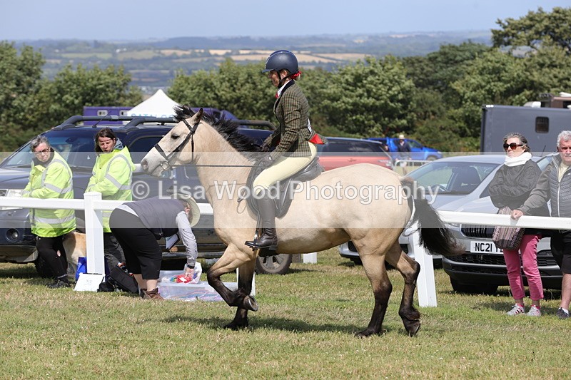 1X9A5555 - Class 38: NPS Novice Ridden Small and Large Breeds