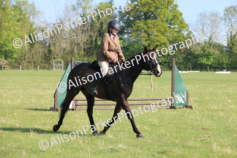 20250427-0545 - Class 17 - Novice Showing