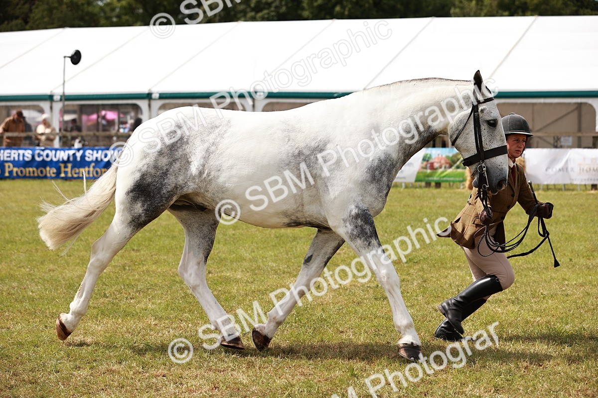 SBM_14059 - Class 85-87 - RIHS Cobs