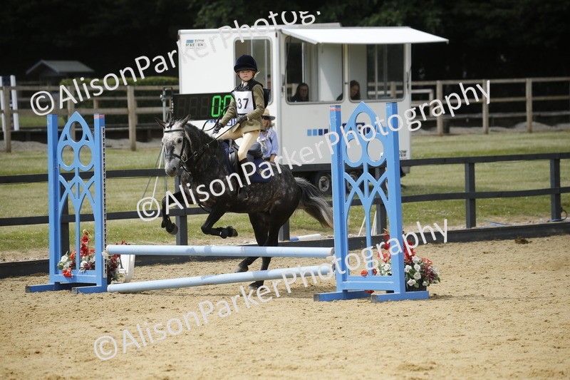 20250622-4018 - 50cm