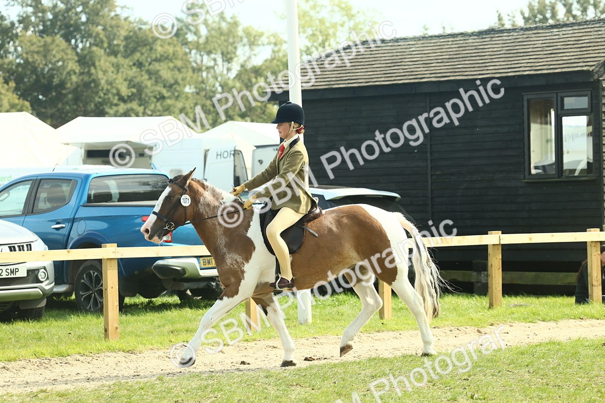 SBM_67651 - S56 - Coloured Pony Ridden
