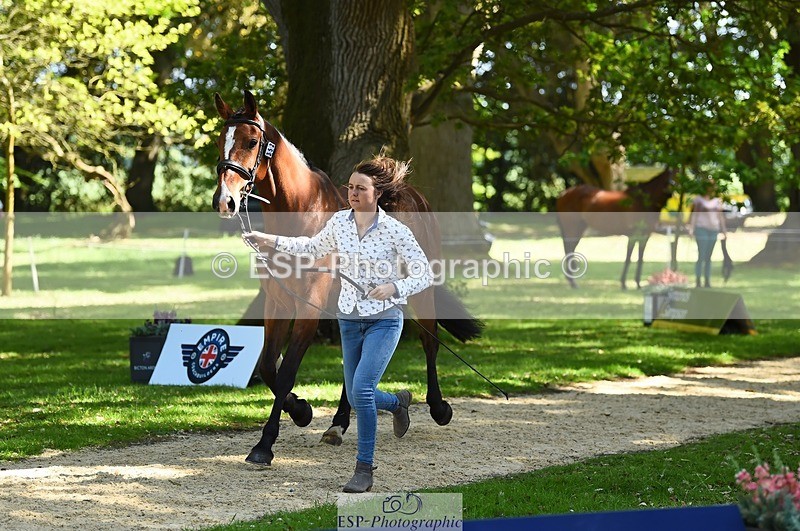 230524-153002-00308 - 352-TEQUILA_SUNRISE-Pippa_Taylor-WEDTrotUp+DR