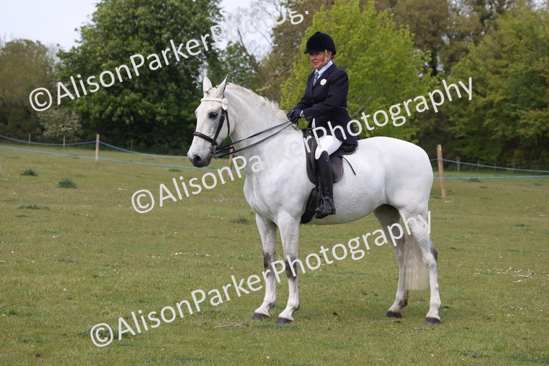 20260426-4401 - Class 34 - Best Riding Horse Over 14.2hh