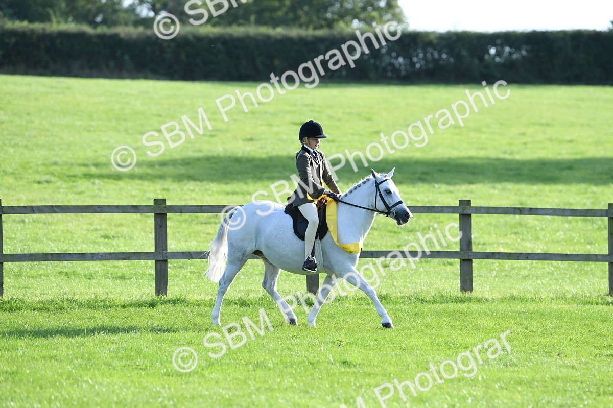 SBM_52450 - S22 - 1st Ridden Show & Show Hunter Pony