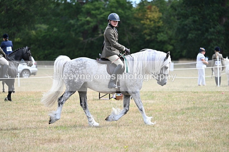 WJ7_5577 - Class 12 Ridden Cob