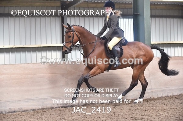 JAC_2419 - CLASS 3 Intermediate Working Hunter