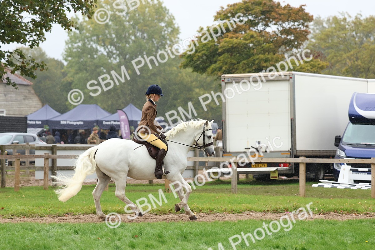 SBM_69685 - S62 - Mountain & Moorland Ridden Large Breeds
