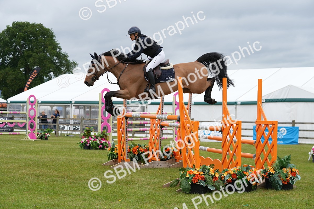 SBM_03386 - Class 201 - British Horse Feeds Speedi Beet Horse of the Year Show Grade  C