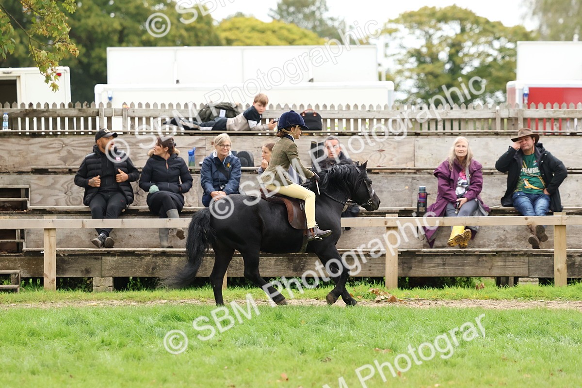 SBM_67468 - S61 - Mountain & Moorland Ridden