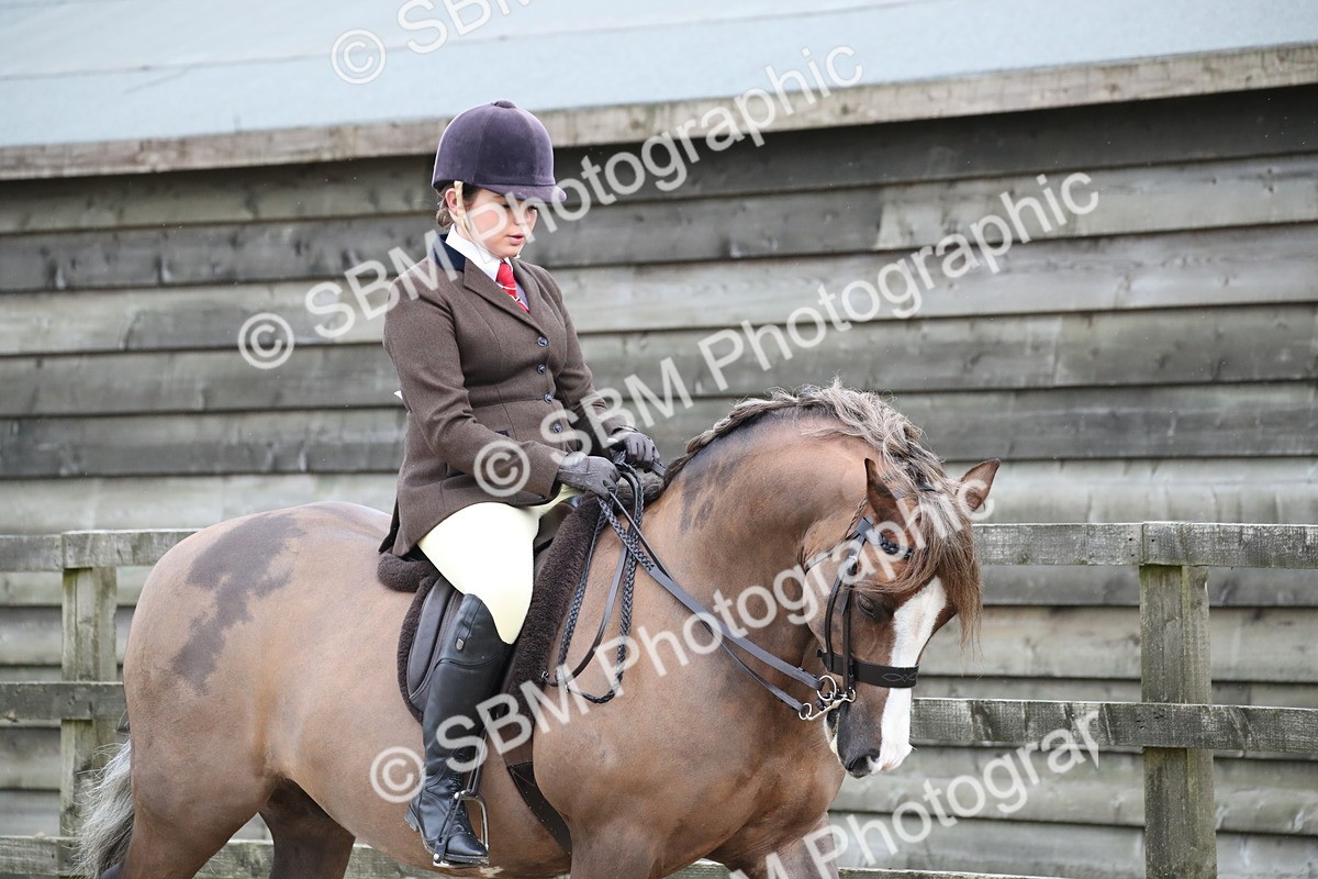 SBM_007141 - Class 10-13 - RIHS Small Large Breeds